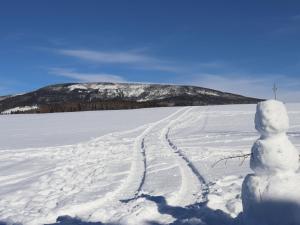 Ein Schneemann steht auf einem schneebedeckten Feld in der Unterkunft Holiday Home Holiday Hill 57 by Interhome in Lauterwasser