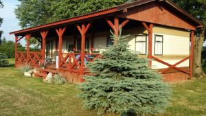 une petite cabine avec un arbre de Noël en face de celle-ci dans l'établissement Misza, à Retowo