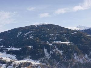 ヴェンスにあるApartment Walter by Interhomeの木々と雪の山