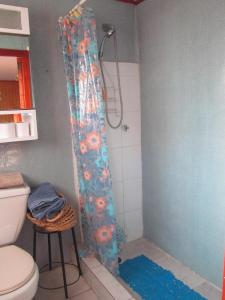a shower curtain in a bathroom with a toilet at Cabaña Cerezo in Guayacán +8 photos