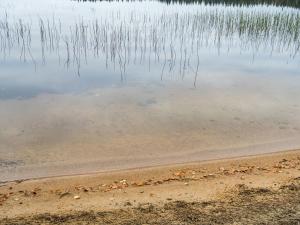 Naturlandskabet i nærheden af feriehuset