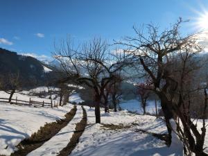 Un paisaje natural cerca del chalet de montaña
