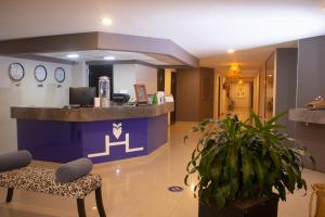 Gallery image of Hotel HAUS Express in Orizaba