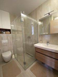 a bathroom with a shower and a toilet and a sink at The View - ski to door in Bjelašnica +30 photos