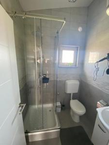 uma casa de banho com um chuveiro, um WC e um lavatório. em Zrinec em Vir