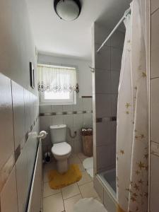 a small bathroom with a toilet and a shower at Gościniec Odsapka in Murzasichle +53 photos