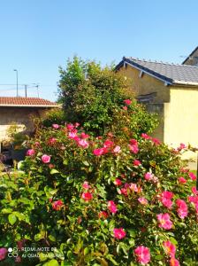 Het gebouw waarin de homestay zich bevindt