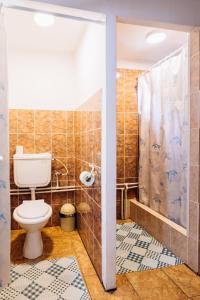 a bathroom with a toilet and a shower at Iris Panzio in Praid