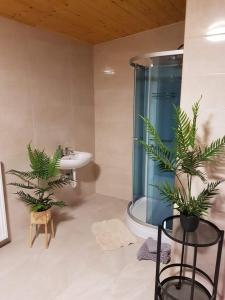 a bathroom with a shower and a sink and two plants at Cserh&aacute;tv&ouml;lgy Panzi&oacute; in Als&oacute;told
