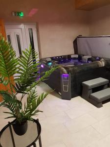 a jacuzzi tub in a room with a plant at Cserh&aacute;tv&ouml;lgy Panzi&oacute; in Als&oacute;told