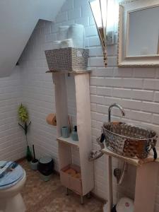 y baño con lavabo y aseo. en Pensiunea Floarea Dornei, en Şarul Dornei