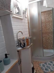 uma casa de banho com um chuveiro, um lavatório e um chuveiro em Pensiunea Floarea Dornei em Şarul Dornei