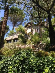 ViggiùにあるIl Pioppo Anticoの木々や茂みのある丘の上の家
