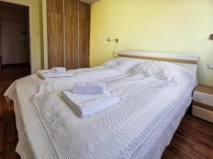 Postel nebo postele na pokoji v ubytování Apartament Wisła Centrum