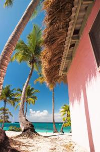 Gallery image of GAVA hostel in Punta Cana