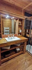 a bathroom with a sink and a mirror at Le Renne Blanc Pyrénées de France in Font-Romeu