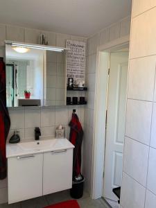 a bathroom with a white sink and a mirror at Ferienhaus im Harz Niehoff in Öhrenfeld