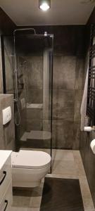 W łazience znajduje się prysznic i toaleta. w obiekcie Apartamenty Obidowa w mieście Obidowa