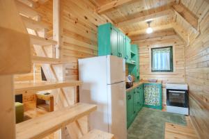 a kitchen with green cabinets and a refrigerator at Woodland in Žabljak