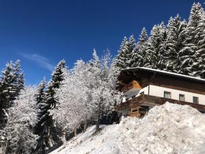 L'établissement Ferienhaus Gerti Werfenweng en hiver