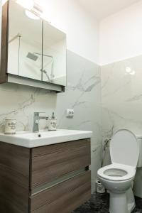 La salle de bains est pourvue de toilettes, d'un lavabo et d'un miroir. dans l'établissement Casa BeaSarah., à Dubova