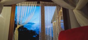 Příroda nedaleko apartmánu + 37 fotografií