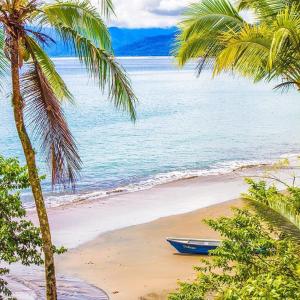un barco sentado en una playa con palmeras en Choibana Ecolodge, en Bahía Solano