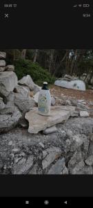 uma garrafa de detergente sentada num pedaço de madeira em Robinzonska kučica em Čunski