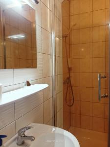 y baño con ducha, lavabo y aseo. en Hotelik Krakowiak en Jarosław