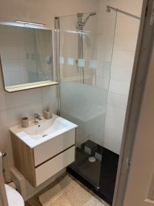 a bathroom with a sink and a shower at La bohème C.A in Dijon