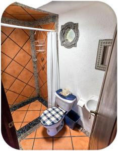 een badkamer met een toilet en een douche bij Depa Mellado - Zona turística Guanajuato in Guanajuato