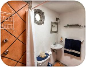 a bathroom with a shower and a toilet and a sink at Depa Mellado - Zona turística Guanajuato in Guanajuato +26 photos