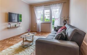 TV a/nebo společenská místnost v ubytování Stunning Apartment In Liznjan With Wifi
