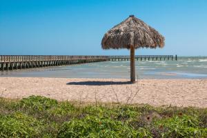 Gallery image of Dolphins Heart & Palms Starfish in Rockport