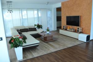 ein Wohnzimmer mit einem weißen Sofa und einem TV in der Unterkunft Aquangar in Cehu Silvaniei