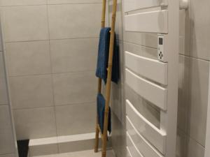 ein Badezimmer mit einem Handtuchhalter neben einem Kühlschrank in der Unterkunft Gîte Val de Briey, 3 pièces, 4 personnes - FR-1-584-105 in Briey