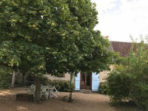 eine Gruppe von Picknicktischen unter einem Baum vor einem Haus in der Unterkunft Gîte Châteaudun, 3 pièces, 4 personnes - FR-1-581-71 in Châteaudun