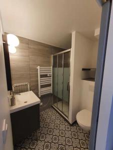 ein Bad mit einem WC, einem Waschbecken und einer Dusche in der Unterkunft La maison du lac in Doussard