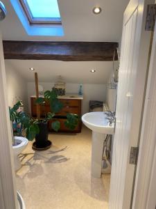 a bathroom with a sink and a toilet and a window at Dove House in Congleton