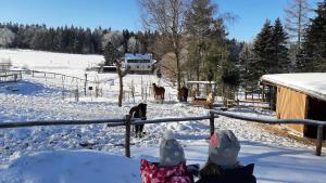 "Sporthütten Nassau" Ihr zentrales Domizil an der Blockline في Bienenmühle: مجموعة من الناس تشاهد الخيول في الثلج