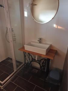 La salle de bains est pourvue d'un lavabo, d'un miroir et d'une douche. dans l'établissement Boronaház Fogadó, à Szalafő