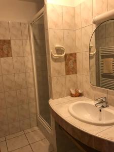 La salle de bains est pourvue d'un lavabo et d'une douche. dans l'établissement Hôtel Panoramic et des Bains, à Luz-Saint-Sauveur