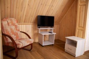 a living room with a chair and a television at Piligrim 2 in Mykolaiv