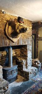 a cat is sitting on a stone fireplace at Whod Have Thought It Inn in Saltash