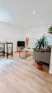 a living room with a couch and a potted plant at L'Elégant - Idéal Couple - Parking Gratuit in Pau