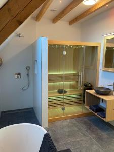 La salle de bains est pourvue d'une douche en verre et d'un lavabo. dans l'établissement B&B Idylle aan Zee incl 2 Wellnessstudios, à Sint Maartensvlotbrug