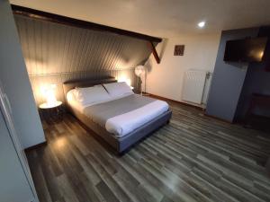 1 dormitorio con 1 cama grande y TV en Gite de la kirneck, en Valff