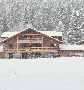 a large wooden building in the snow with trees at Nouveau Gîte Bain Nordique in Xonrupt-Longemer