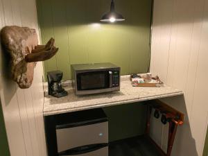 um micro-ondas sentado num balcão numa cozinha em Lone Fir Resort em Cougar