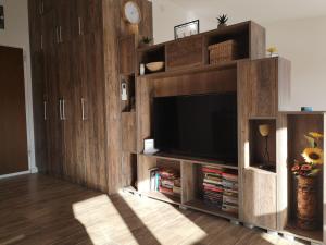 TV a/nebo společenská místnost v ubytování LAKI apartman